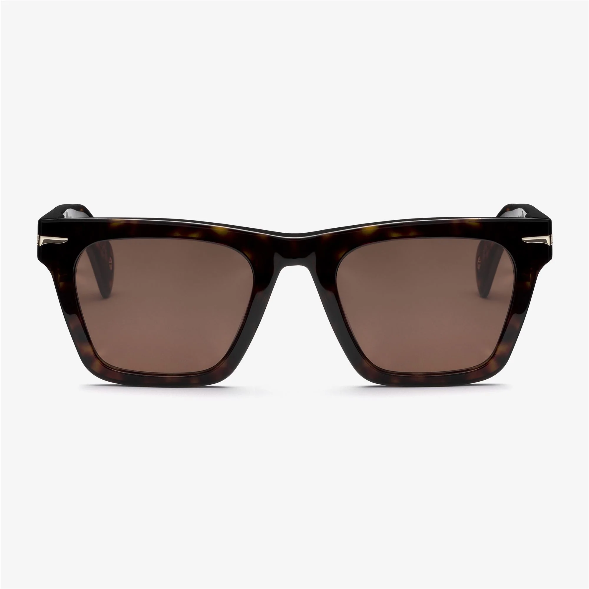 PAUL - Glasses - Sunglasses - Unisex - HAVANA 3627-BR3 - Image 3